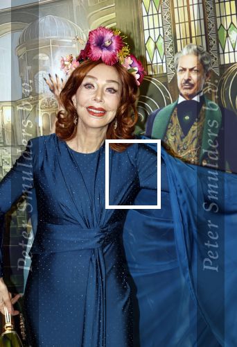Amsterdam 18 november 2025
Premiere Wicked in het deLaMar theater . Marijke Helwegen