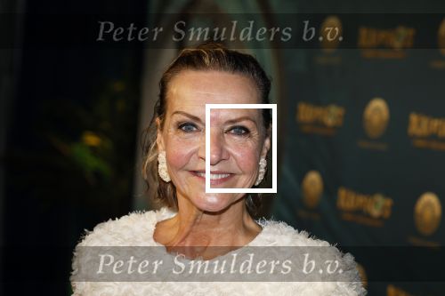 Den Haag 23 oktober 2025
Premiere Circque du Soleil op het malieveld in Den Haag. mariska v Kolck kwam met haar zoon