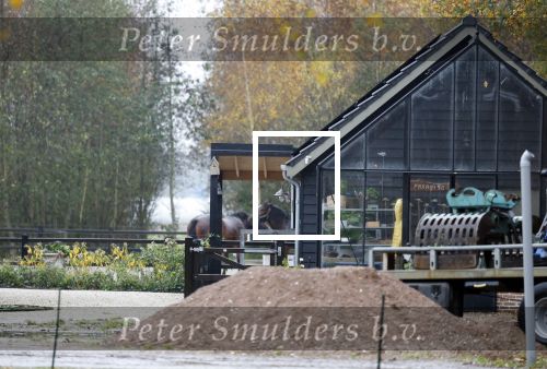 Noordwijkerhout 14 november 2025
Het nieuwe huis vcan Martien Meiland en Erica Meiland . Naast het huis hebben ze paarden staan
