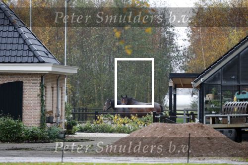 Noordwijkerhout 14 november 2025
Het nieuwe huis vcan Martien Meiland en Erica Meiland . Naast het huis hebben ze paarden staan