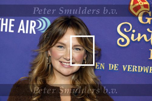 Amsterdam 5 oktober 2025
Premiere sinterklaas film in Pathe Noord. Maxime Meiland