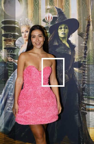 Amsterdam 18 november 2025
Premiere Wicked in het deLaMar theater . Moise Trustfull en Kaj v d Voort