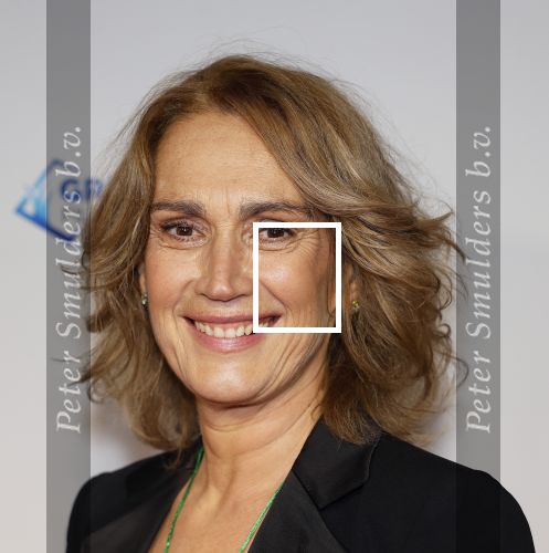 Amsterdam 4 november 2025
Premiere Augurk aan zee in Tuschinski met de cast die bestaat uit oa Monic Hendrickx Martin v Waardenberg Olga Zuiderhoek Jelka v Houten Frank Lammers Peter v d Begin en Tibor Lukacs. Robert v Hemert heeft de titelsong geschreven .