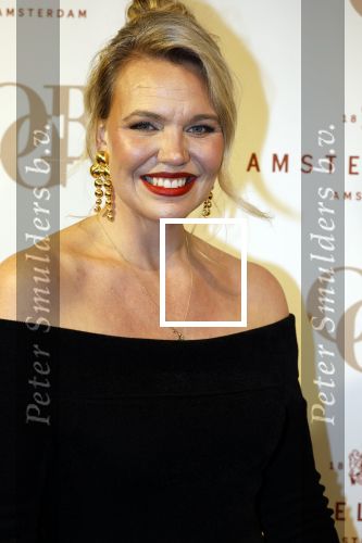 Amsterdam 26 november 2025
Olcay Gulsen geeft een groot feest ( Gemaskerd bal) in het Amstel Hotel. Myrthe Mylius