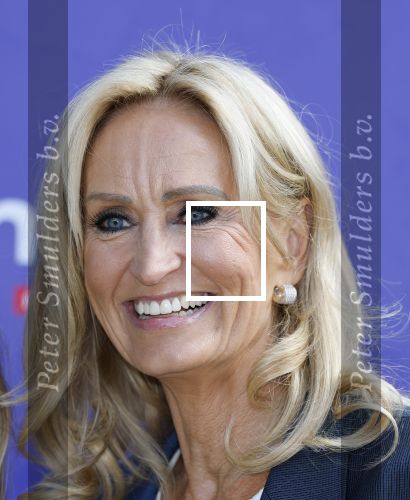 Blaricum 17 oktober 2025
Perspresentatie eerste aflevering Gooische vrouwen met oa aanwezig Linda de Mol Susan Visser Liews Visschedijk Teunie de Brouwer Tommy v Lent Robert de Hoog en Eefje Kuijtzer . natasja Froger