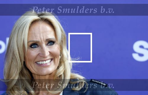 Blaricum 17 oktober 2025
Perspresentatie eerste aflevering Gooische vrouwen met oa aanwezig Linda de Mol Susan Visser Liews Visschedijk Teunie de Brouwer Tommy v Lent Robert de Hoog en Eefje Kuijtzer . natasja Froger