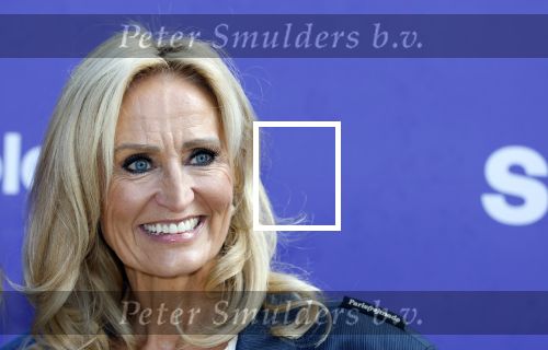 Blaricum 17 oktober 2025
Perspresentatie eerste aflevering Gooische vrouwen met oa aanwezig Linda de Mol Susan Visser Liews Visschedijk Teunie de Brouwer Tommy v Lent Robert de Hoog en Eefje Kuijtzer . natasja Froger