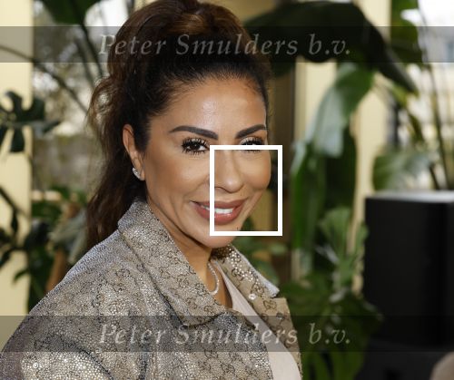 Amsterdam 11 november 2025
Presentatie real housewives of Amsterdam in het W hotel.
Aanwezig Niama Amhali Renee Vervoorn Cherry Ann Person Lilian Dziedzic Kimmylien Nguyen Djamila Celina en Elvira Penthesilea.