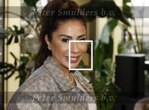 Amsterdam 11 november 2025
Presentatie real housewives of Amsterdam in het W hotel.
Aanwezig Niama Amhali Renee Vervoorn Cherry Ann Person Lilian Dziedzic Kimmylien Nguyen Djamila Celina en Elvira Penthesilea.