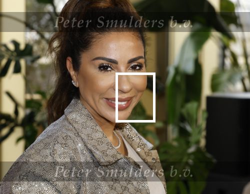 Amsterdam 11 november 2025
Presentatie real housewives of Amsterdam in het W hotel.
Aanwezig Niama Amhali Renee Vervoorn Cherry Ann Person Lilian Dziedzic Kimmylien Nguyen Djamila Celina en Elvira Penthesilea.