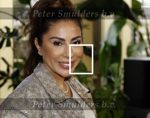 Amsterdam 11 november 2025
Presentatie real housewives of Amsterdam in het W hotel.
Aanwezig Niama Amhali Renee Vervoorn Cherry Ann Person Lilian Dziedzic Kimmylien Nguyen Djamila Celina en Elvira Penthesilea.