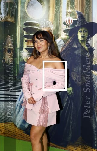 Amsterdam 18 november 2025
Premiere Wicked in het deLaMar theater . Nienke van Dijk