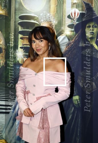 Amsterdam 18 november 2025
Premiere Wicked in het deLaMar theater . Nienke van Dijk