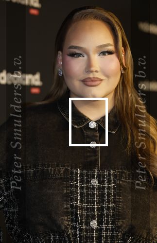 Amsterdam 28 november 2025
Presentatie videoland serie Vals Spel in Amsterdam. Nikkie Tutorials