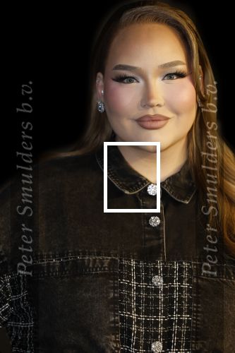 Amsterdam 28 november 2025
Presentatie videoland serie Vals Spel in Amsterdam. Nikkie Tutorials