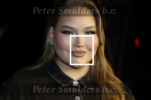 Amsterdam 28 november 2025
Presentatie videoland serie Vals Spel in Amsterdam. Nikkie Tutorials