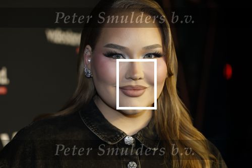 Amsterdam 28 november 2025
Presentatie videoland serie Vals Spel in Amsterdam. Nikkie Tutorials
