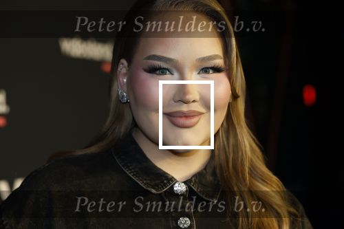Amsterdam 28 november 2025
Presentatie videoland serie Vals Spel in Amsterdam. Nikkie Tutorials