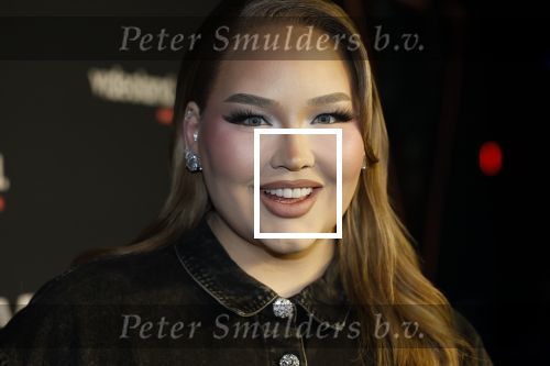 Amsterdam 28 november 2025
Presentatie videoland serie Vals Spel in Amsterdam. Nikkie Tutorials