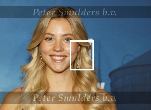 Rotterdam 23 november 2025
Premiere West side story in het nieuwe luxor. Noa Jacobus