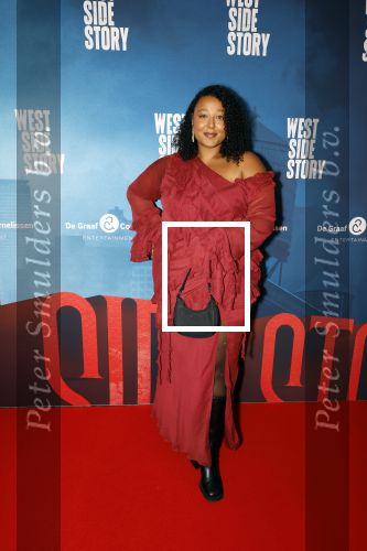 Rotterdam 23 november 2025
Premiere West side story in het nieuwe luxor. Noel v Kleef