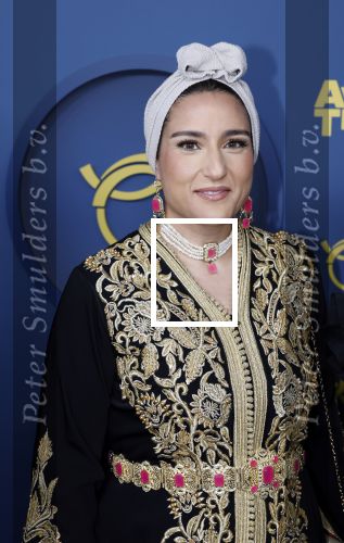 Amsterdam 16 oktober 2025
Uitreiking televizierring 2025 in Carre 
Nora Akachar