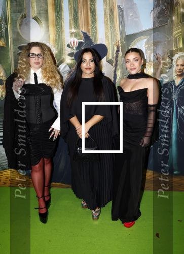 Amsterdam 18 november 2025
Premiere Wicked in het deLaMar theater . Og3ne