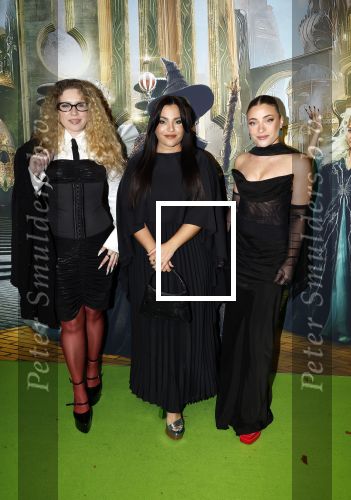 Amsterdam 18 november 2025
Premiere Wicked in het deLaMar theater . Og3ne