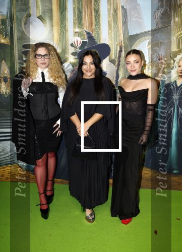 Amsterdam 18 november 2025
Premiere Wicked in het deLaMar theater . Og3ne