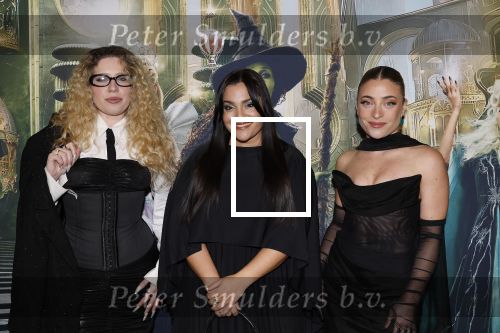 Amsterdam 18 november 2025
Premiere Wicked in het deLaMar theater . Og3ne