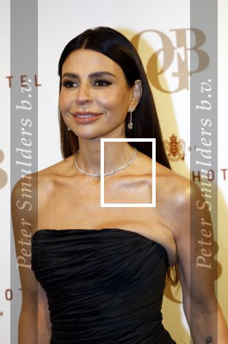 Amsterdam 26 november 2025
Olcay Gulsen geeft een groot feest ( Gemaskerd bal) in het Amstel Hotel.