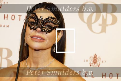 Amsterdam 26 november 2025
Olcay Gulsen geeft een groot feest ( Gemaskerd bal) in het Amstel Hotel.