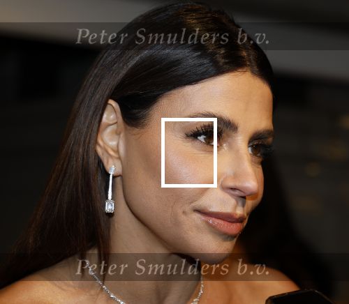 Amsterdam 26 november 2025
Olcay Gulsen geeft een groot feest ( Gemaskerd bal) in het Amstel Hotel.