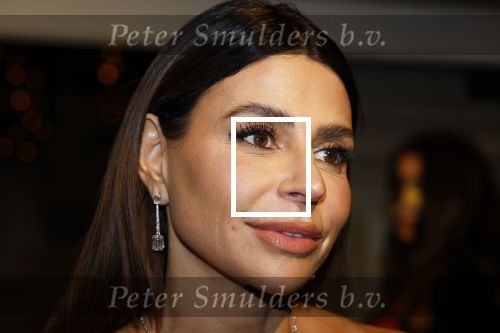 Amsterdam 26 november 2025
Olcay Gulsen geeft een groot feest ( Gemaskerd bal) in het Amstel Hotel.