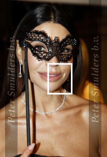 Amsterdam 26 november 2025
Olcay Gulsen geeft een groot feest ( Gemaskerd bal) in het Amstel Hotel.