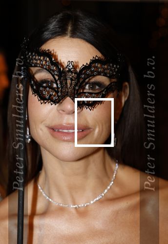 Amsterdam 26 november 2025
Olcay Gulsen geeft een groot feest ( Gemaskerd bal) in het Amstel Hotel.