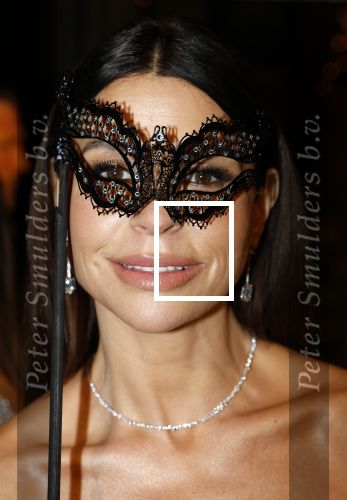 Amsterdam 26 november 2025
Olcay Gulsen geeft een groot feest ( Gemaskerd bal) in het Amstel Hotel.
