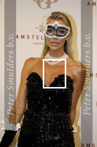 Amsterdam 26 november 2025
Olcay Gulsen geeft een groot feest ( Gemaskerd bal) in het Amstel Hotel.