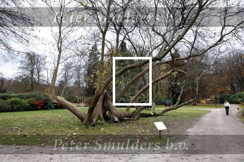 Soestdijk 18 november 2025
Opening expositie over \