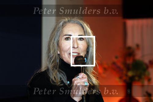 Wassenaar 23 november 2025
Boekpresentatie Patricia Steur in kasteel Wittenburg . Angela Groothuizen presenteert het en Henk Schiffmacher krijgt het eerste boek.