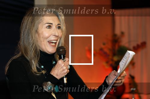 Wassenaar 23 november 2025
Boekpresentatie Patricia Steur in kasteel Wittenburg . Angela Groothuizen presenteert het en Henk Schiffmacher krijgt het eerste boek.