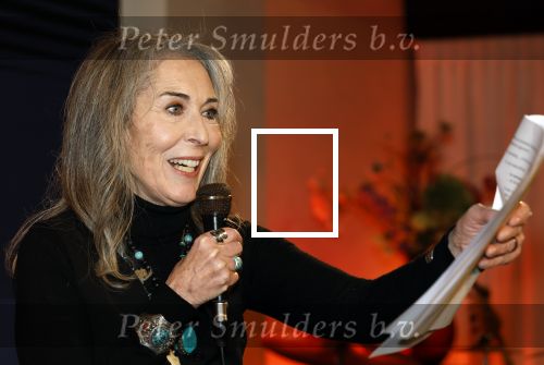 Wassenaar 23 november 2025
Boekpresentatie Patricia Steur in kasteel Wittenburg . Angela Groothuizen presenteert het en Henk Schiffmacher krijgt het eerste boek.