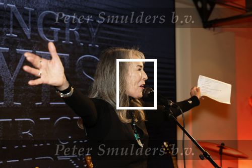 Wassenaar 23 november 2025
Boekpresentatie Patricia Steur in kasteel Wittenburg . Angela Groothuizen presenteert het en Henk Schiffmacher krijgt het eerste boek.