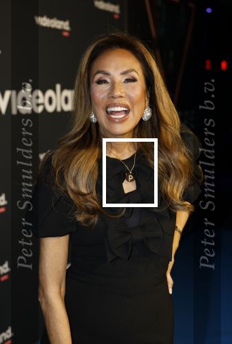 Amsterdam 28 november 2025
Presentatie videoland serie Vals Spel in Amsterdam. Patty Brard