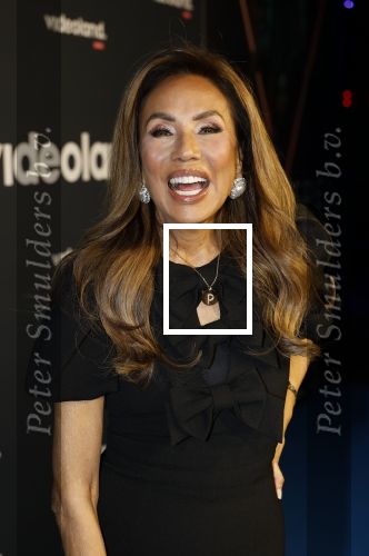 Amsterdam 28 november 2025
Presentatie videoland serie Vals Spel in Amsterdam. Patty Brard