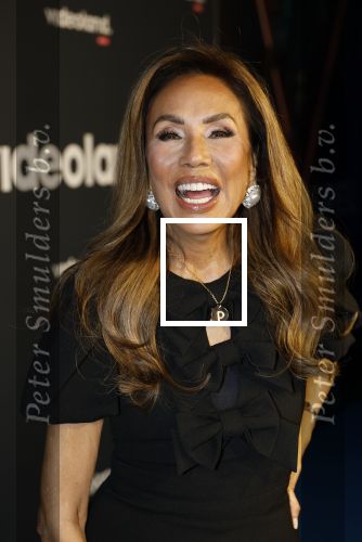 Amsterdam 28 november 2025
Presentatie videoland serie Vals Spel in Amsterdam. Patty Brard