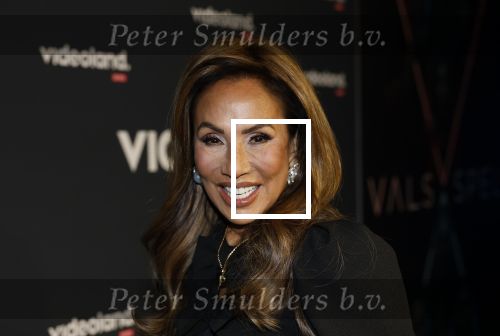 Amsterdam 28 november 2025
Presentatie videoland serie Vals Spel in Amsterdam. Patty Brard