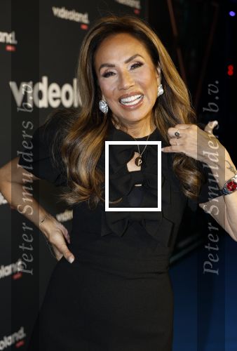 Amsterdam 28 november 2025
Presentatie videoland serie Vals Spel in Amsterdam. Patty Brard
