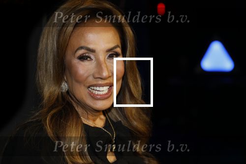 Amsterdam 28 november 2025
Presentatie videoland serie Vals Spel in Amsterdam. Patty Brard
