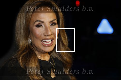 Amsterdam 28 november 2025
Presentatie videoland serie Vals Spel in Amsterdam. Patty Brard